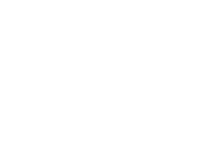brand building icon2 - Asylum Homepage