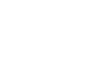 press tours icon2 - Asylum Homepage