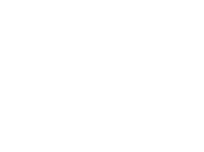 social media icon2 - Asylum Homepage