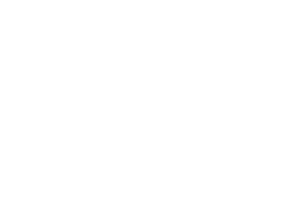 startup services icon2 - Asylum Homepage
